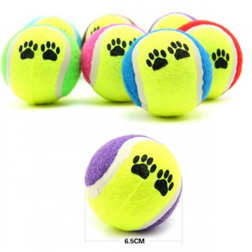 At Getir Köpek Eğitim Topu (4812)