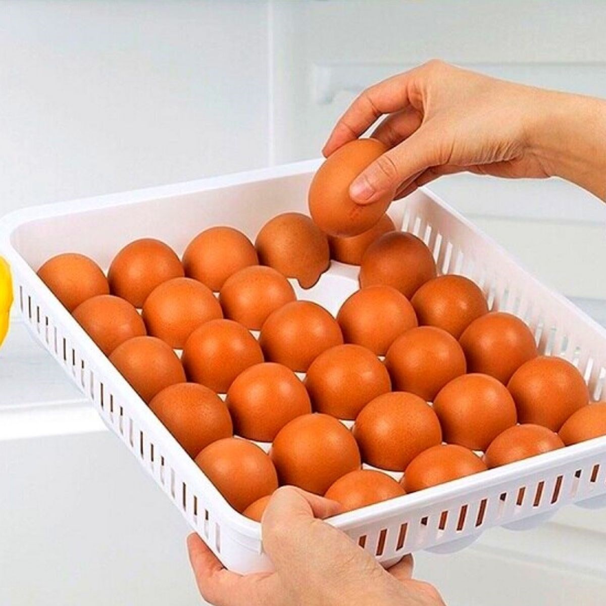 15'li Yumurta Saklama Kabı (4812) 15'li Yumurta Saklama Kabı (4812)
