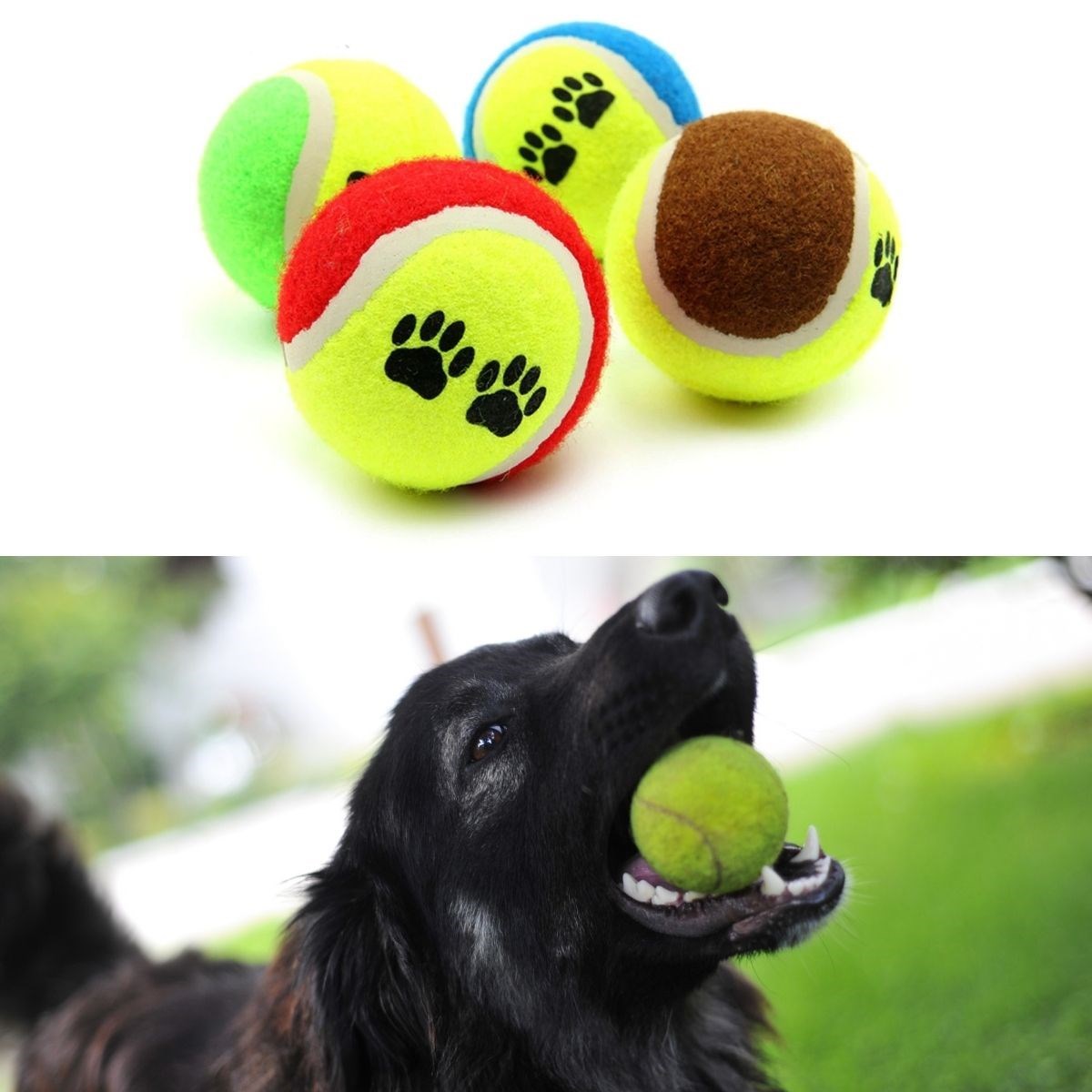 3'lü Renkli Desenli Tenis Topu Kedi Köpek Oyuncağı (4812) 3'lü Renkli Desenli Tenis Topu Kedi Köpek Oyuncağı (4812)