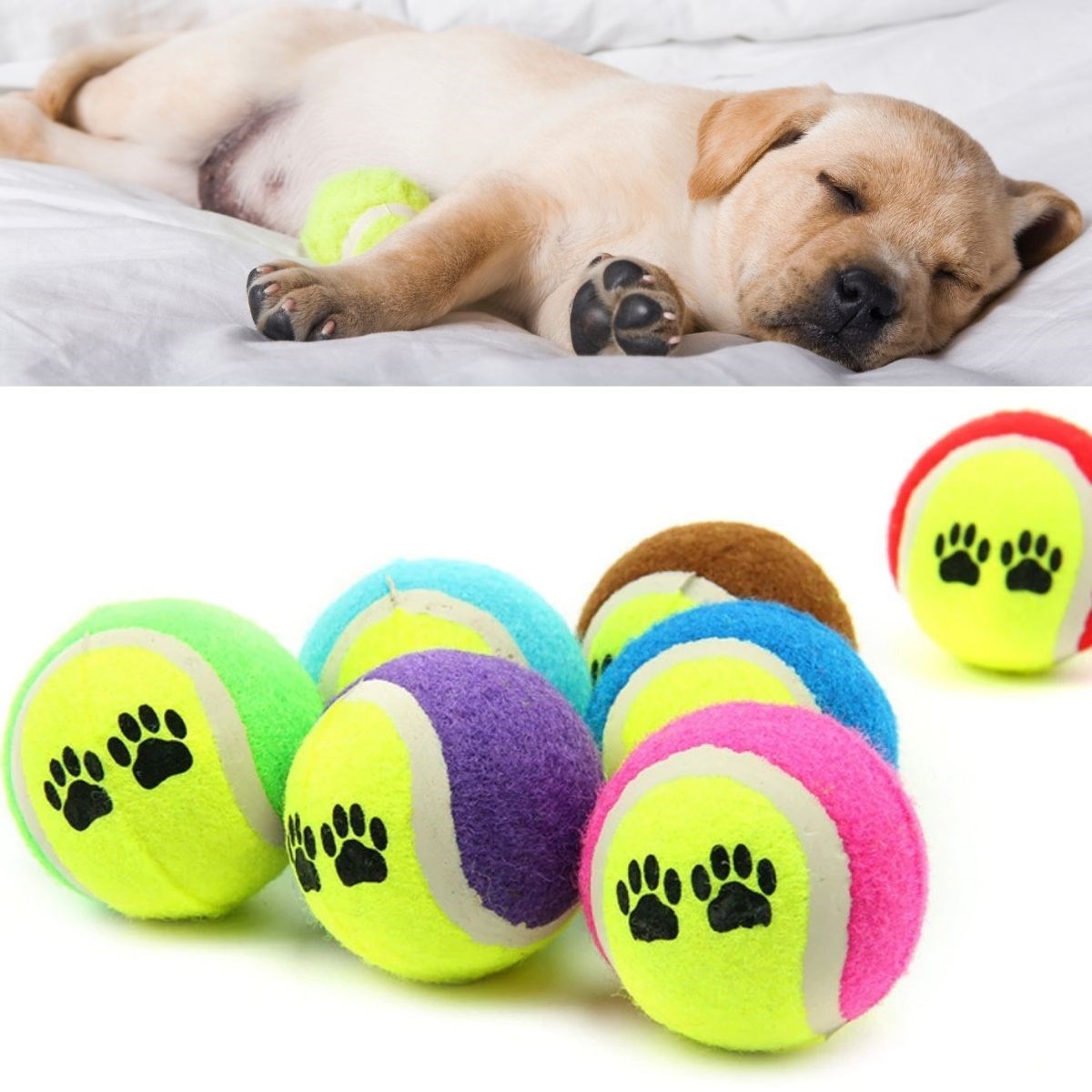 3'lü Renkli Desenli Tenis Topu Kedi Köpek Oyuncağı (4812) 3'lü Renkli Desenli Tenis Topu Kedi Köpek Oyuncağı (4812)