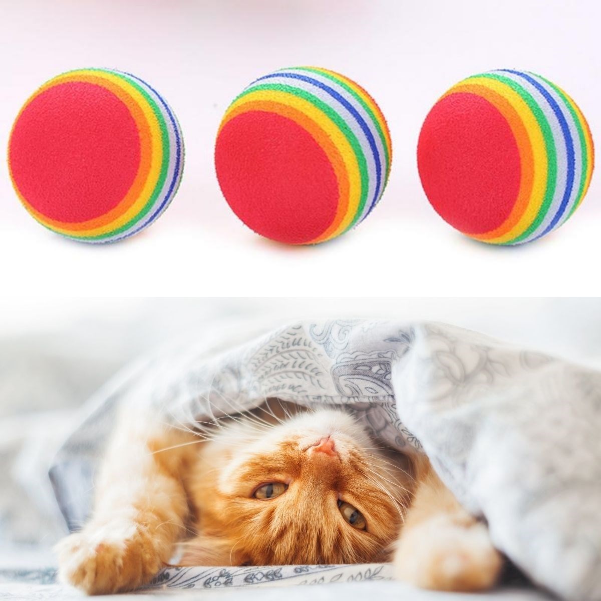 3lü Gökkuşağı Sünger Kedi Köpek Çiğneme Oyun Topu 4,2 cm (4812)
