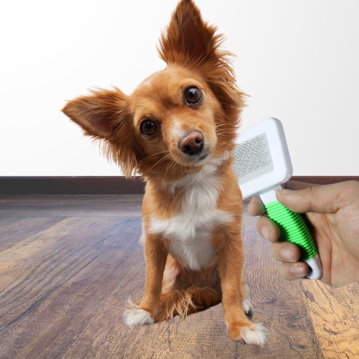 Kedi Köpek Telli Küçük Boy Tüy Bakım Seti Evcil Hayvan Tarama Fırçası (4812)