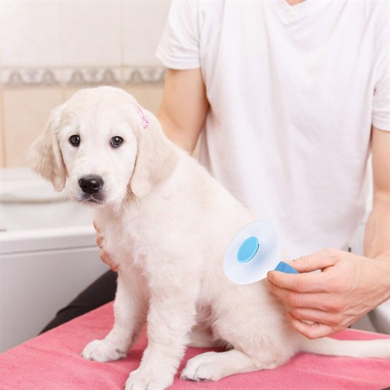 Kedi Köpek Tüy Toplayıcı Kendini Temizleyebilen Ergonomik Saplı Evcil Hayvan Tarağı Mavi (4812)