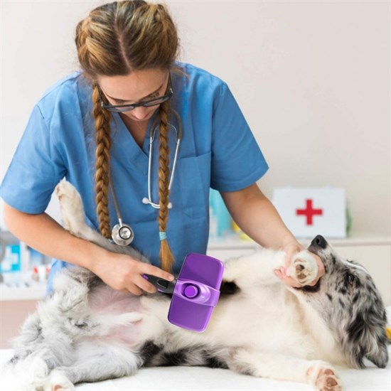 Otomatik Temizlenebilen Tuşlu Pratik Kedi Köpek Tüy Toplama Fırçası (4812)