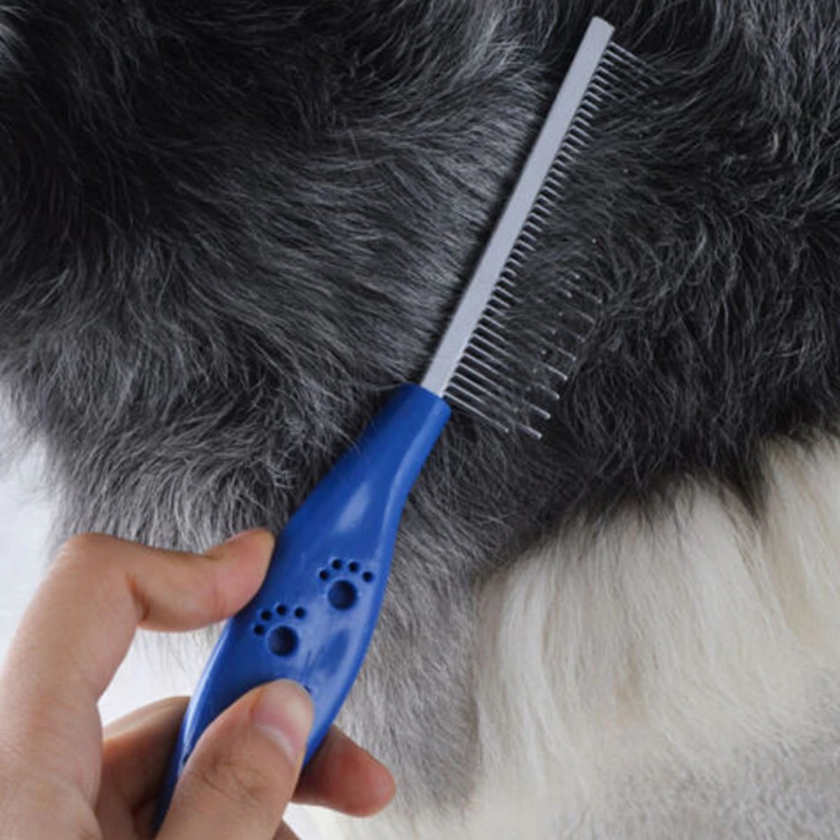 Tüy Açıcı Kedi Köpek Tarağı Tek Taraflı Metal Dişli Evcil Hayvan Bakım Fırçası (4812) Tüy Açıcı Kedi Köpek Tarağı Tek Taraflı Metal Dişli Evcil Hayvan Bakım Fırçası (4812)