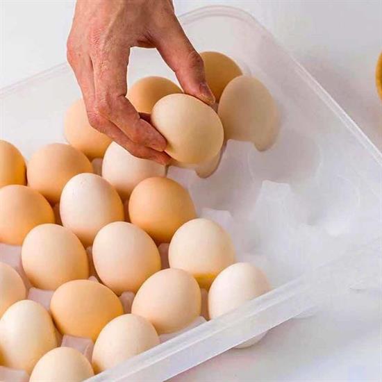 30'lu Yumurta Saklama Kabı (4812) 30'lu Yumurta Saklama Kabı (4812)