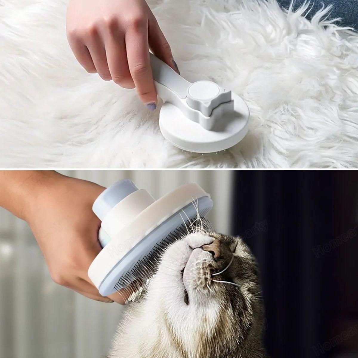 Basmalı Kedi Köpek Tüy Toparlayıcı Masaj Etkili Pet Fırçası (4812) Basmalı Kedi Köpek Tüy Toparlayıcı Masaj Etkili Pet Fırçası (4812)