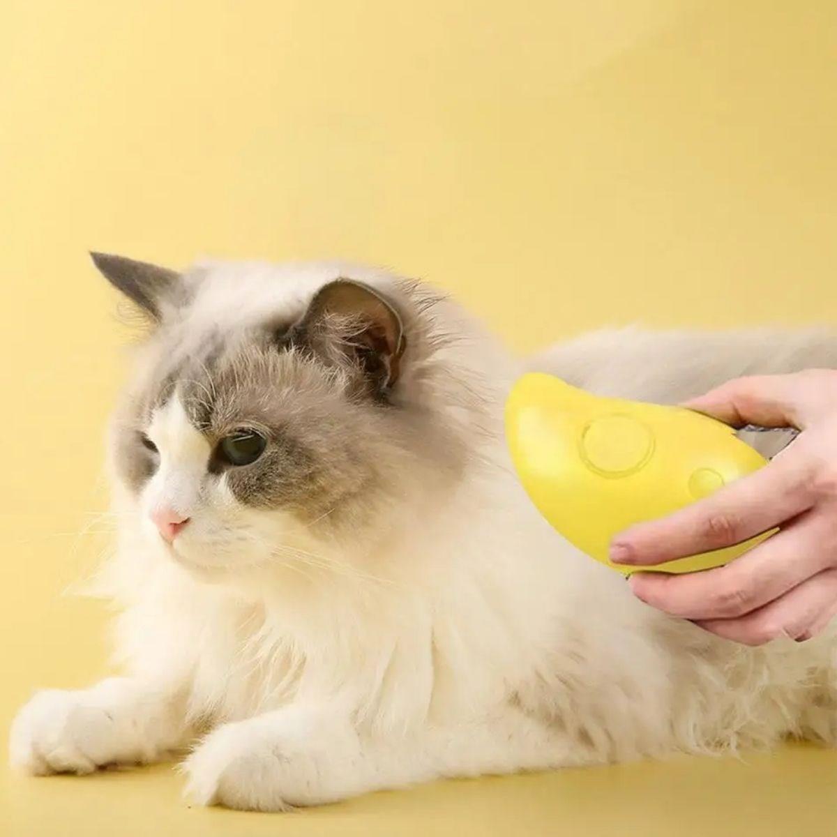 Buharlı Yumuşak Silikon Uçlu Kedi & Köpek Tüy Tarama Tarağı Yıkama Fırçası (4812) Buharlı Yumuşak Silikon Uçlu Kedi & Köpek Tüy Tarama Tarağı Yıkama Fırçası (4812)