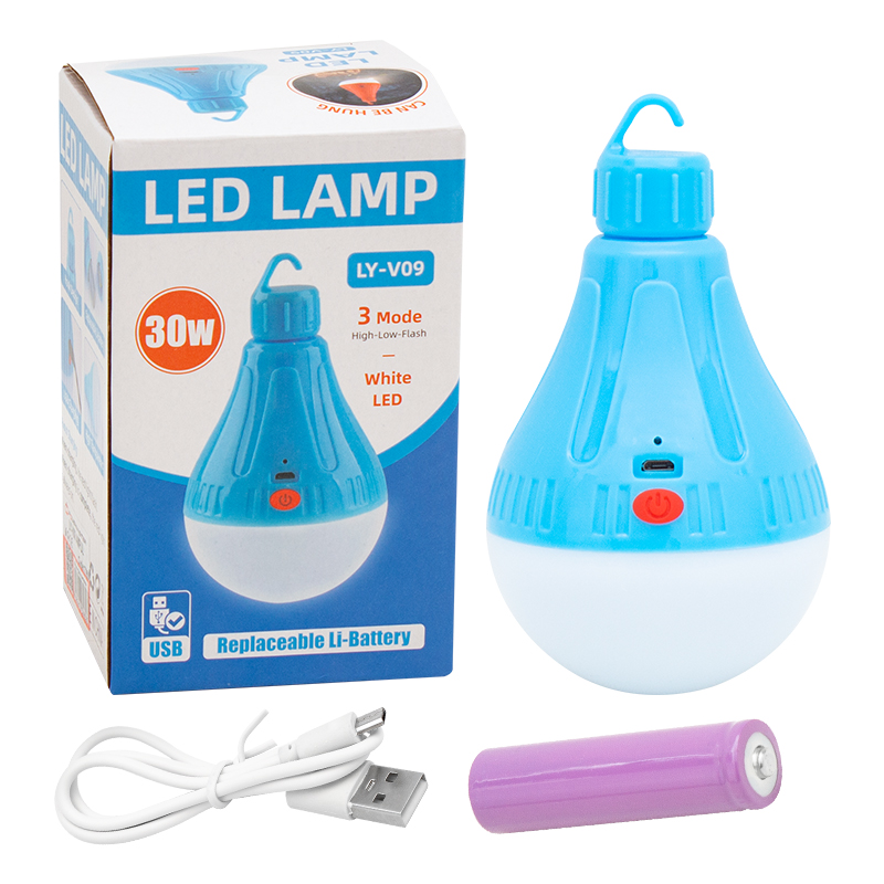 LY-V09 MİCRO USB GİRİŞLİ ASKILI ŞARJLI AMPUL (4812) LY-V09 MİCRO USB GİRİŞLİ ASKILI ŞARJLI AMPUL (4812)
