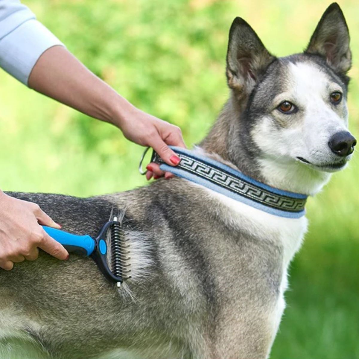Plastik Saplı Metal Kedi Köpek Bakım Kıtık Tüy Topak Açıcı Tarak (4812) Plastik Saplı Metal Kedi Köpek Bakım Kıtık Tüy Topak Açıcı Tarak (4812)