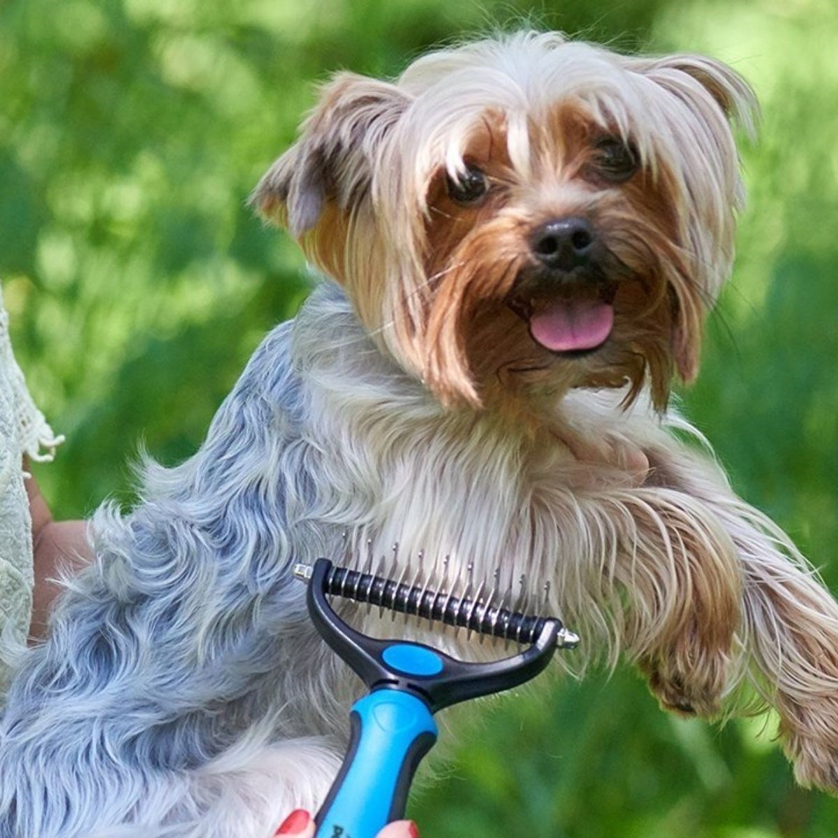 Plastik Saplı Metal Kedi Köpek Bakım Kıtık Tüy Topak Açıcı Tarak (4812) Plastik Saplı Metal Kedi Köpek Bakım Kıtık Tüy Topak Açıcı Tarak (4812)
