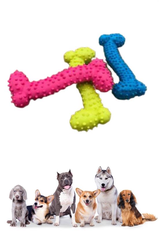 Tiny Kemik Oyuncağı Tırtıklı Yüzey Küçük Kemik Plastik Köpek Oyuncağı (4812) Tiny Kemik Oyuncağı Tırtıklı Yüzey Küçük Kemik Plastik Köpek Oyuncağı (4812)