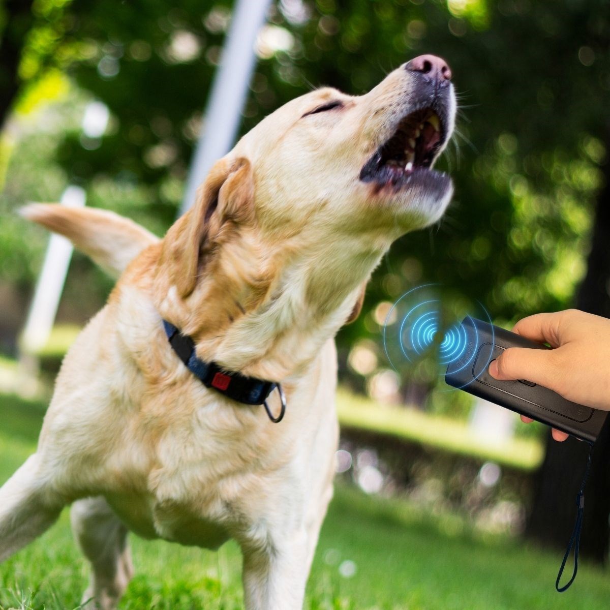 Ultrasonik Köpek Kovucu ve Eğitici Cihaz (4812) Ultrasonik Köpek Kovucu ve Eğitici Cihaz (4812)