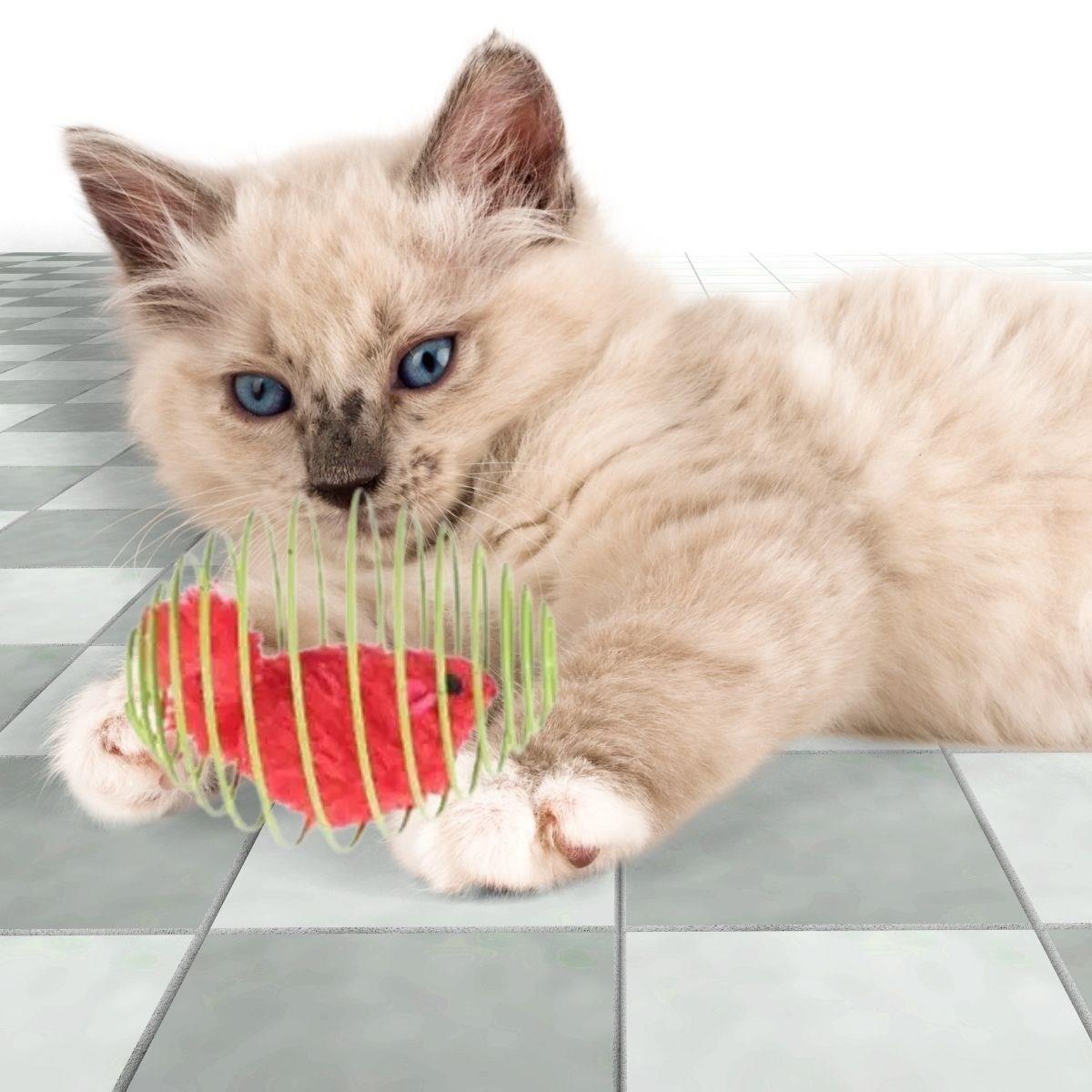 Yaylı Metal Fareli Kafes Kedi Oyun Topu Sıçrayan Spiral Kedi Topu (4812)