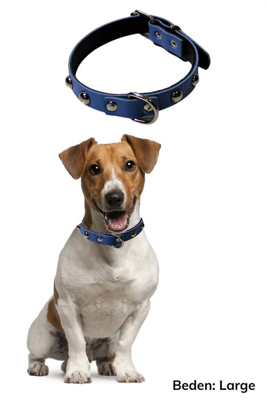Yumuşak Dokulu Deri Köpek Gezdirme Boyun Tasması (Large) (4812) Yumuşak Dokulu Deri Köpek Gezdirme Boyun Tasması (Large) (4812)